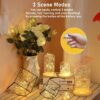 Fio de Fada Pisca 65002fioled Decoracao 5m 2 fases Fio Led 65002 - Image 4
